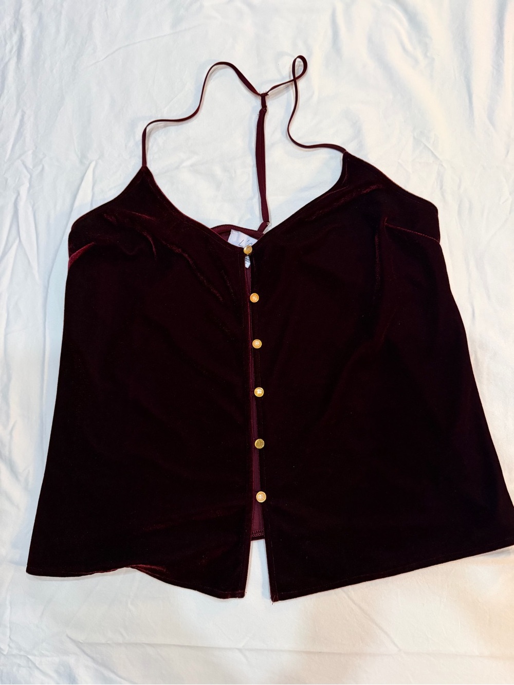 L'Academie Velvet Spaghetti Strap Cami in Deep Burgundy with Gold Buttons